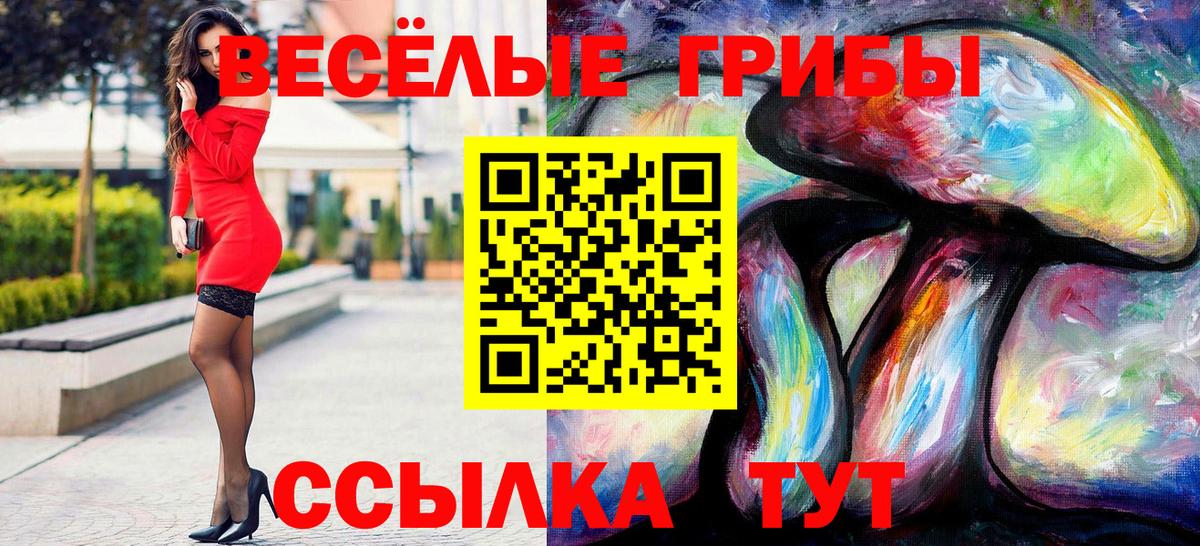Отрадное  где найти наркотики  Вход с VPN  Галлюциногенные грибы Psilocybe 