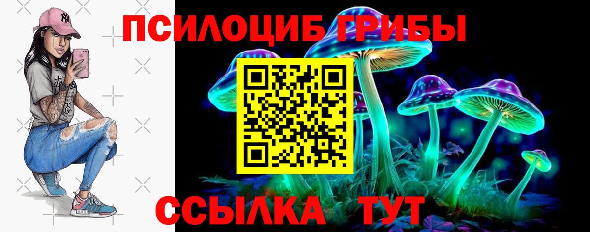 Галлюциногенные грибы Psilocybine cubensis Отрадное